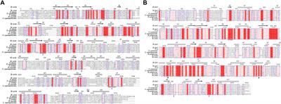 Enhanced Degradation of Juvenile Hormone Promotes Reproductive Diapause in the Predatory Ladybeetle Coccinella Septempunctata